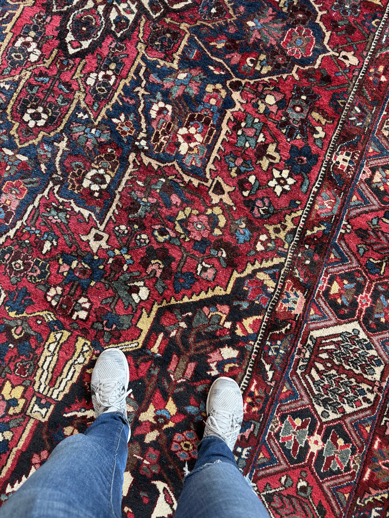 SOLD | COLOSSAL Vintage Persian Bakhtiari | Stunning Dyes, Anchor Medallion, Willow & Cypress Tree Border | 10.9 x 16.7