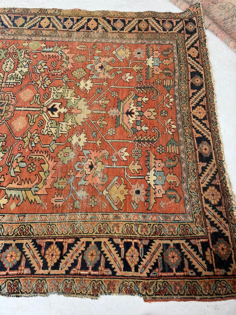 TERRACOTTA & KIWI Antique Heriz | Artistic Blooming Design with Rare Size | 6.8 x 9.7