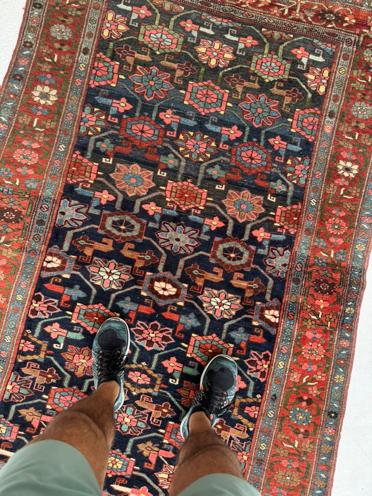 RESERVED FOR CAROLINE*** MYSTICAL meets Stunning | Halvail Bidjar in Iconic Mina-Khani design with Crisp Natural Dyes | ~ 4.7 x 7.7
