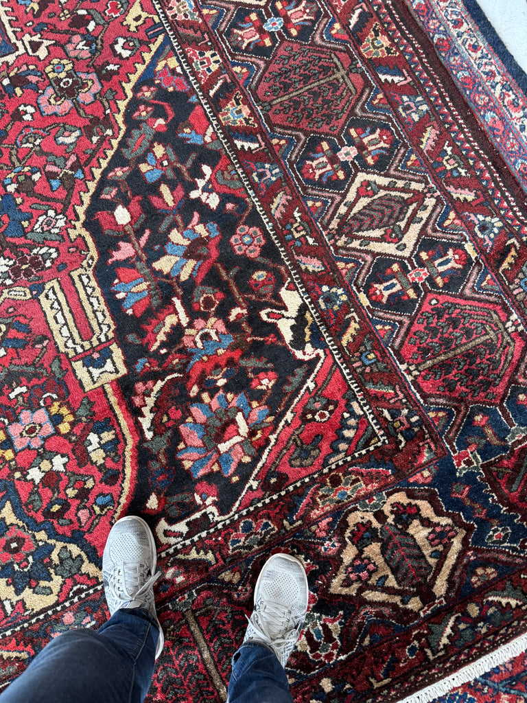 SOLD | COLOSSAL Vintage Persian Bakhtiari | Stunning Dyes, Anchor Medallion, Willow & Cypress Tree Border | 10.9 x 16.7