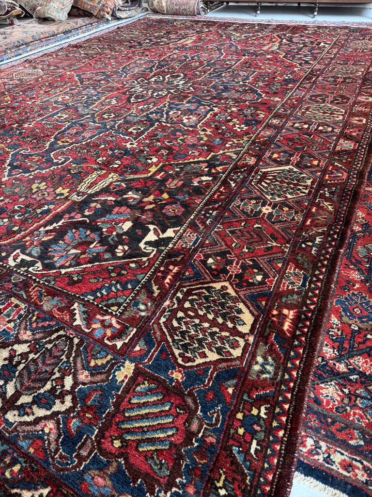SOLD | COLOSSAL Vintage Persian Bakhtiari | Stunning Dyes, Anchor Medallion, Willow & Cypress Tree Border | 10.9 x 16.7