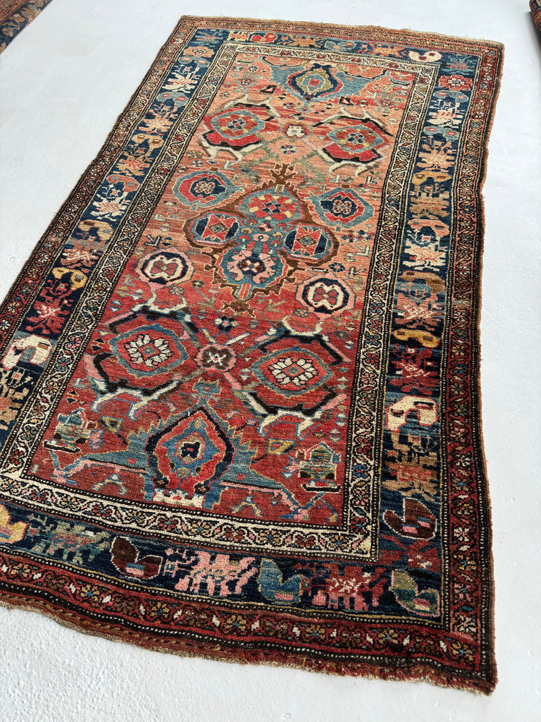 SOLD | MYSTICAL Kurdish Bidjar - Tribal Beauty at it's Apex | Rusty Melon Abrash with Stunning Dyes & Charm | 3.7 x 6.5