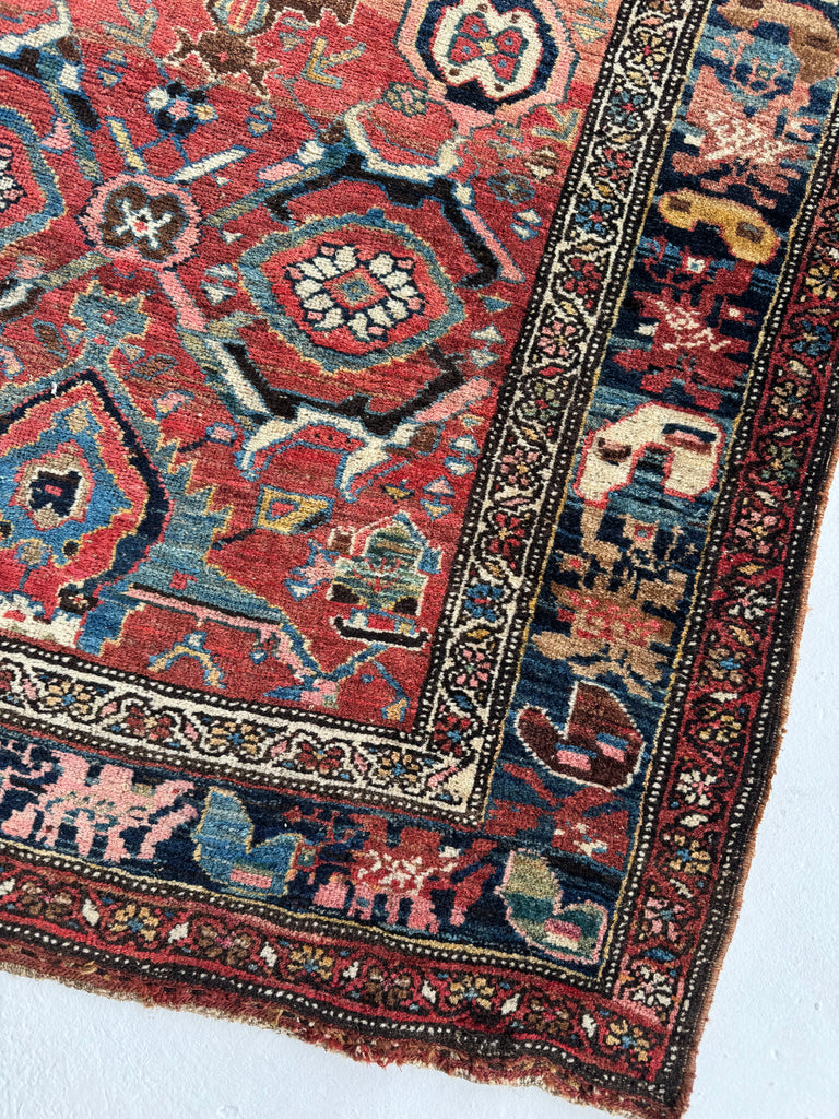 SOLD | MYSTICAL Kurdish Bidjar - Tribal Beauty at it's Apex | Rusty Melon Abrash with Stunning Dyes & Charm | 3.7 x 6.5