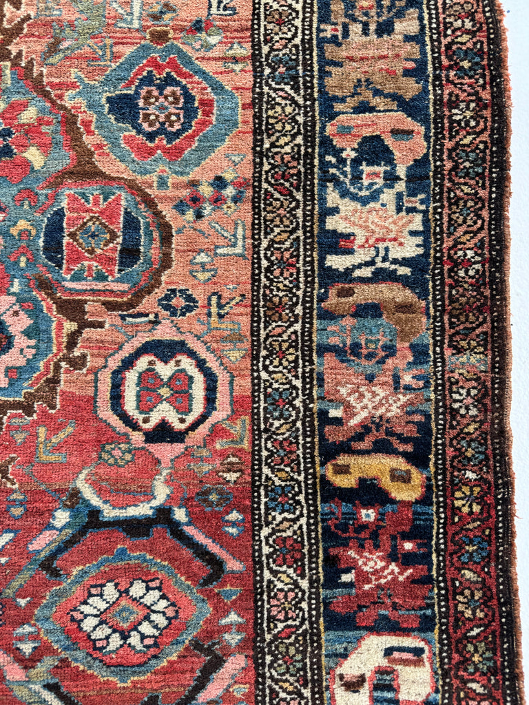 SOLD | MYSTICAL Kurdish Bidjar - Tribal Beauty at it's Apex | Rusty Melon Abrash with Stunning Dyes & Charm | 3.7 x 6.5