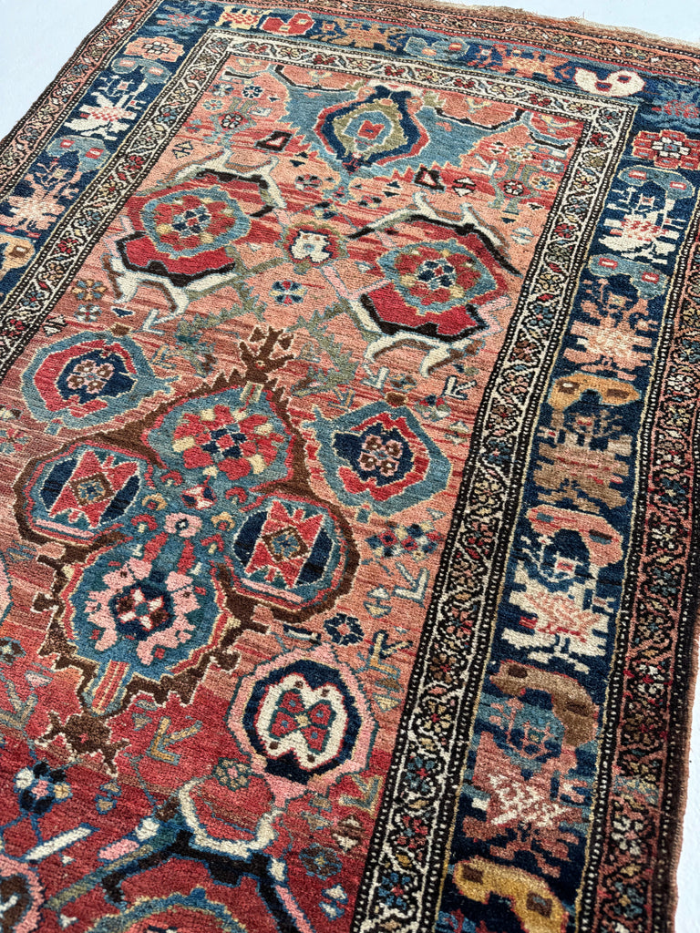 SOLD | MYSTICAL Kurdish Bidjar - Tribal Beauty at it's Apex | Rusty Melon Abrash with Stunning Dyes & Charm | 3.7 x 6.5