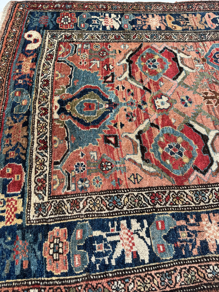 SOLD | MYSTICAL Kurdish Bidjar - Tribal Beauty at it's Apex | Rusty Melon Abrash with Stunning Dyes & Charm | 3.7 x 6.5