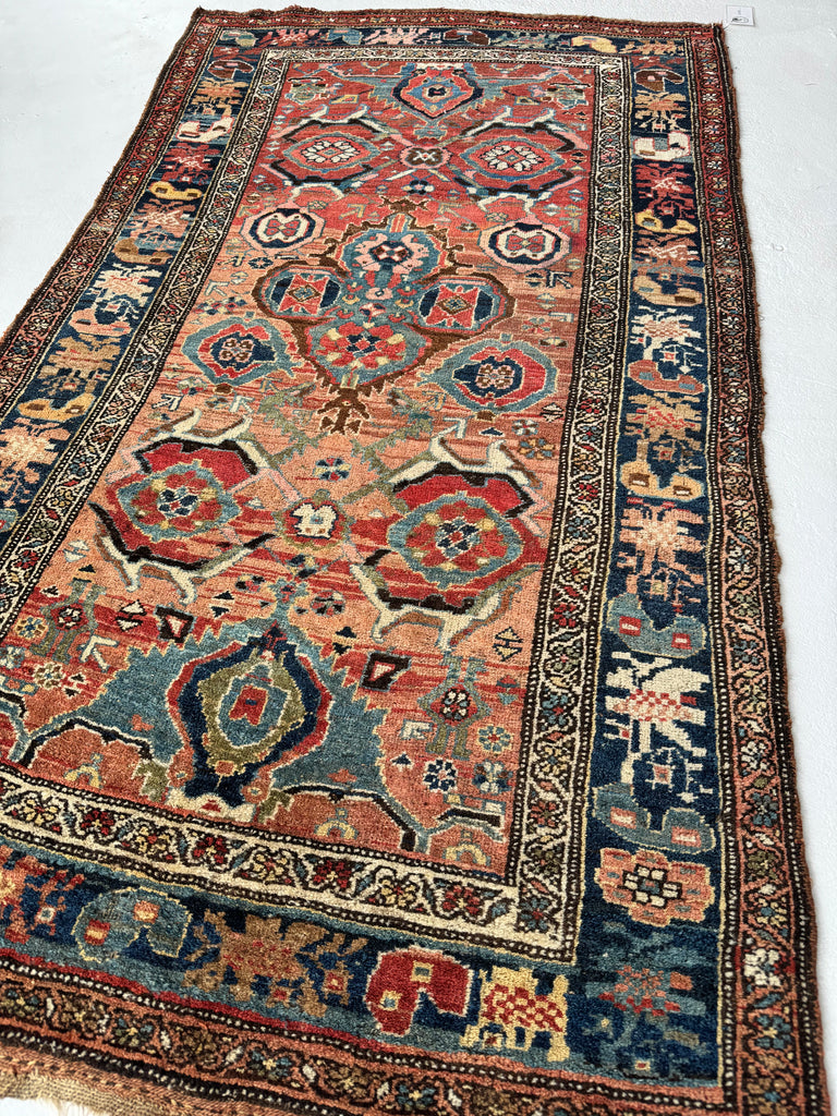 SOLD | MYSTICAL Kurdish Bidjar - Tribal Beauty at it's Apex | Rusty Melon Abrash with Stunning Dyes & Charm | 3.7 x 6.5