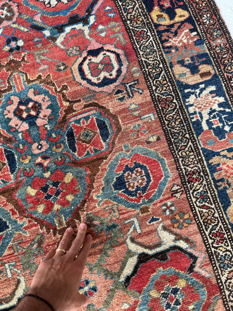 SOLD | MYSTICAL Kurdish Bidjar - Tribal Beauty at it's Apex | Rusty Melon Abrash with Stunning Dyes & Charm | 3.7 x 6.5