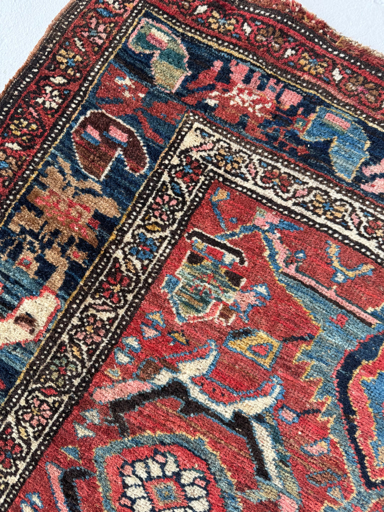 SOLD | MYSTICAL Kurdish Bidjar - Tribal Beauty at it's Apex | Rusty Melon Abrash with Stunning Dyes & Charm | 3.7 x 6.5