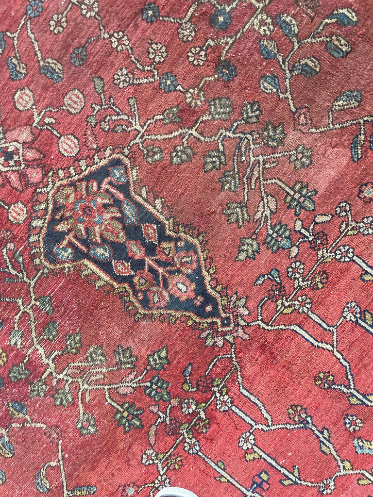 SOPHISTICATED Old-World Antique Ferahan Sarouk | Dainty Flora & Suspended Vines | 10.5 x 13.3