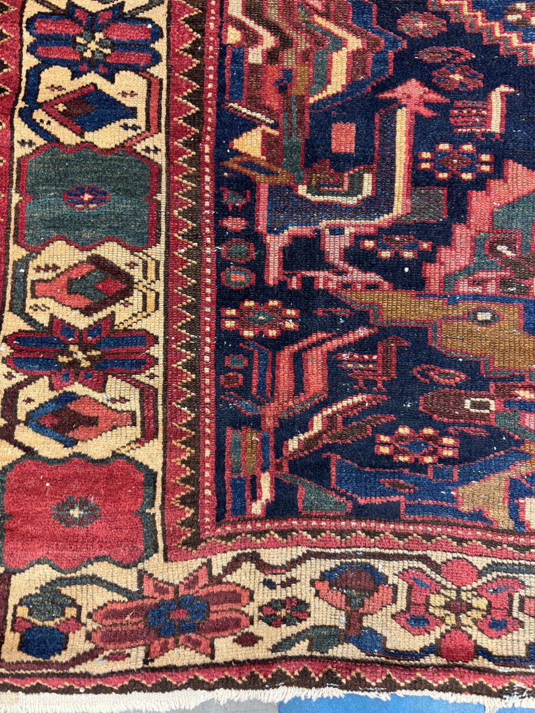 EXOTIC Bird Bakhtiari | Colorful, Nomadic, & Just Awesome | 4.3 x 6.10
