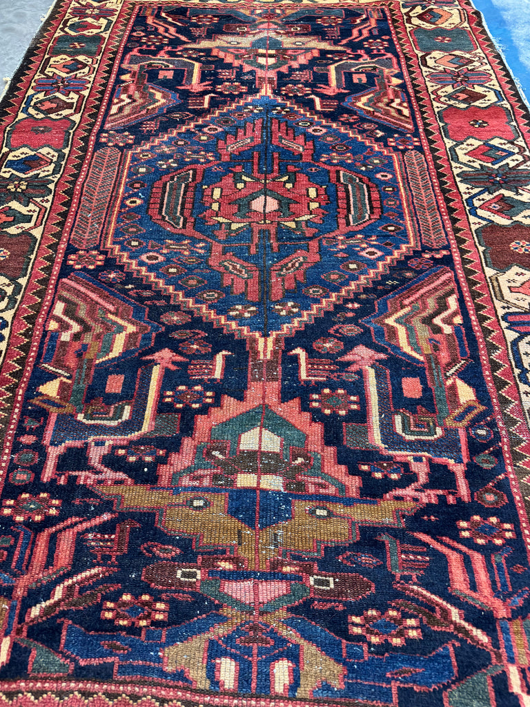 EXOTIC Bird Bakhtiari | Colorful, Nomadic, & Just Awesome | 4.3 x 6.10