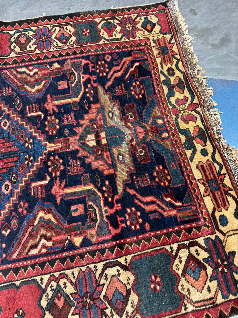 EXOTIC Bird Bakhtiari | Colorful, Nomadic, & Just Awesome | 4.3 x 6.10