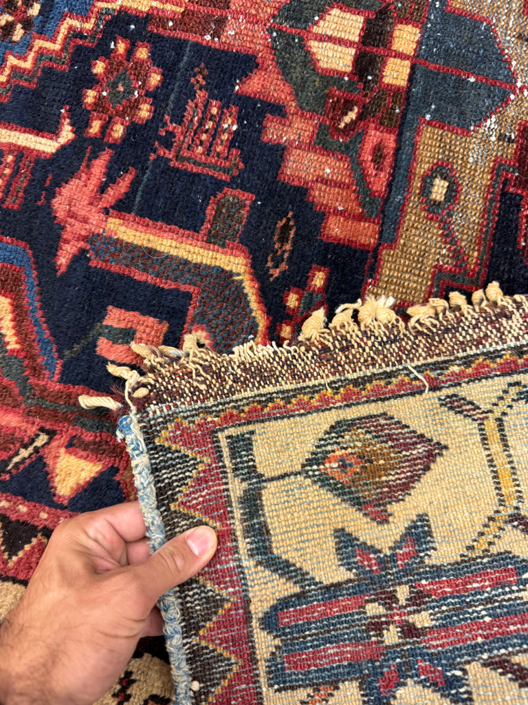 EXOTIC Bird Bakhtiari | Colorful, Nomadic, & Just Awesome | 4.3 x 6.10