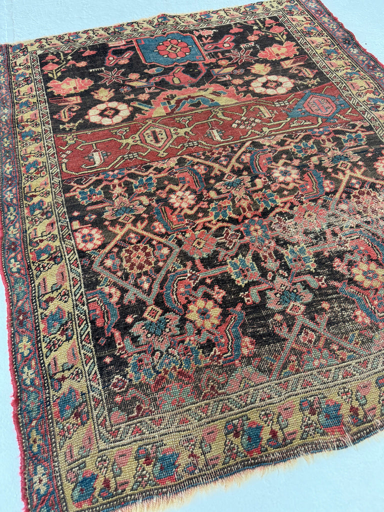 COLLECTOR'S Antique Persian Halvai Bidjar SAMPLER or "WAGIREH" | Rug for Visionaries, Innovators, and Sales Machines | 3.8 x 4.5