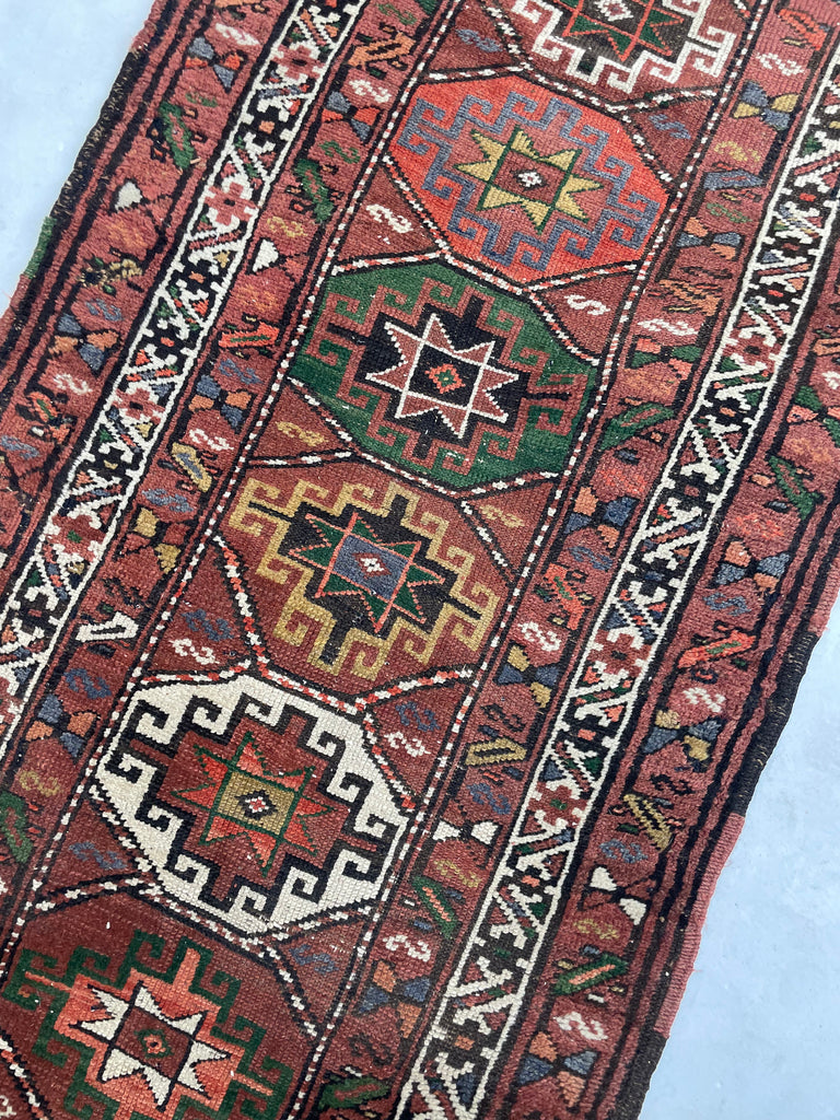 PLUSH Vintage Runner | Earthy Clay, Terracotta with Incredible Grassy Greens Persimmon, more | 3.4 x 12.7|