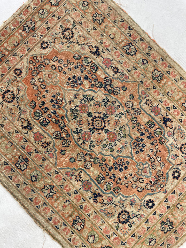 CANTALOUP & TAUPE Antique Haji Jalili Tabriz Rug Mat | 2 x 2.5