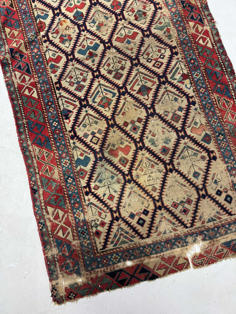 19th CENTURY Rare Antique Shirvan Prayer Rug | Dated 1871 | Ancient Tribal Art | 2.6 x 5