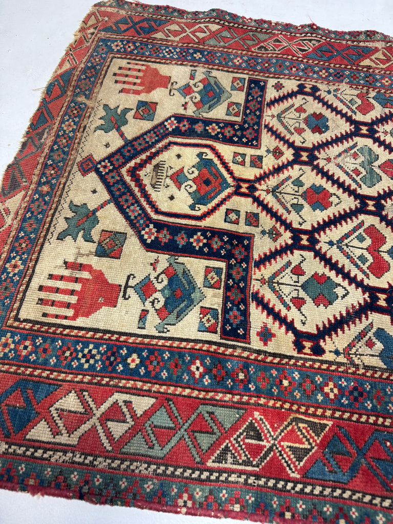 19th CENTURY Rare Antique Shirvan Prayer Rug | Dated 1871 | Ancient Tribal Art | 2.6 x 5