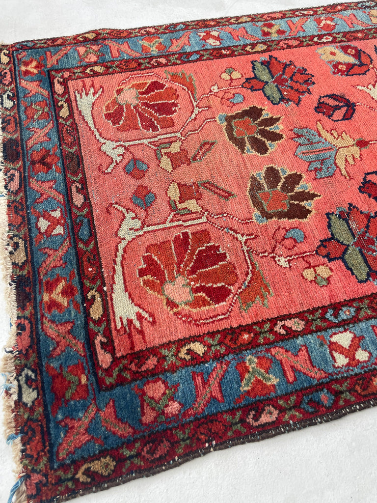 SOLD | ENCHANTING Coral with Ice Blue & GREEN Vintage/Antique Lilihan Sarouk Runner | 2.7 x 9.5
