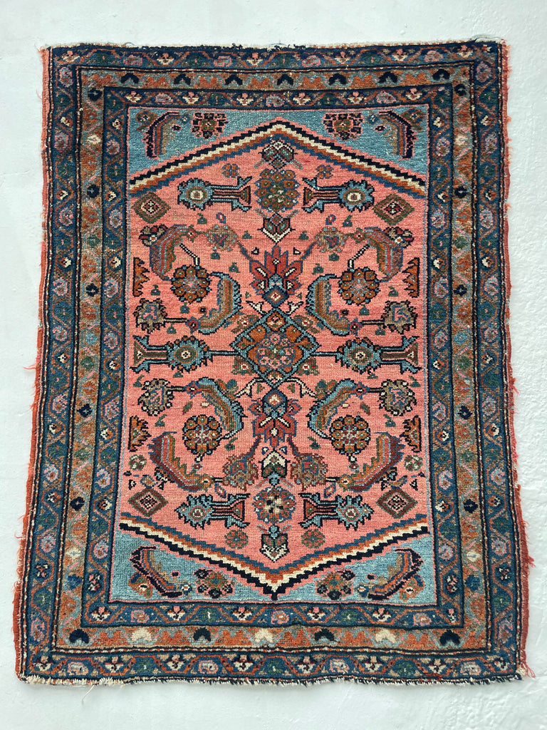 RESERVED FOR CHERI*** STUNNING Antique Hamadan Rug | Coral-Pink & Sky Blue Water Garden | 2.7 x 3.4