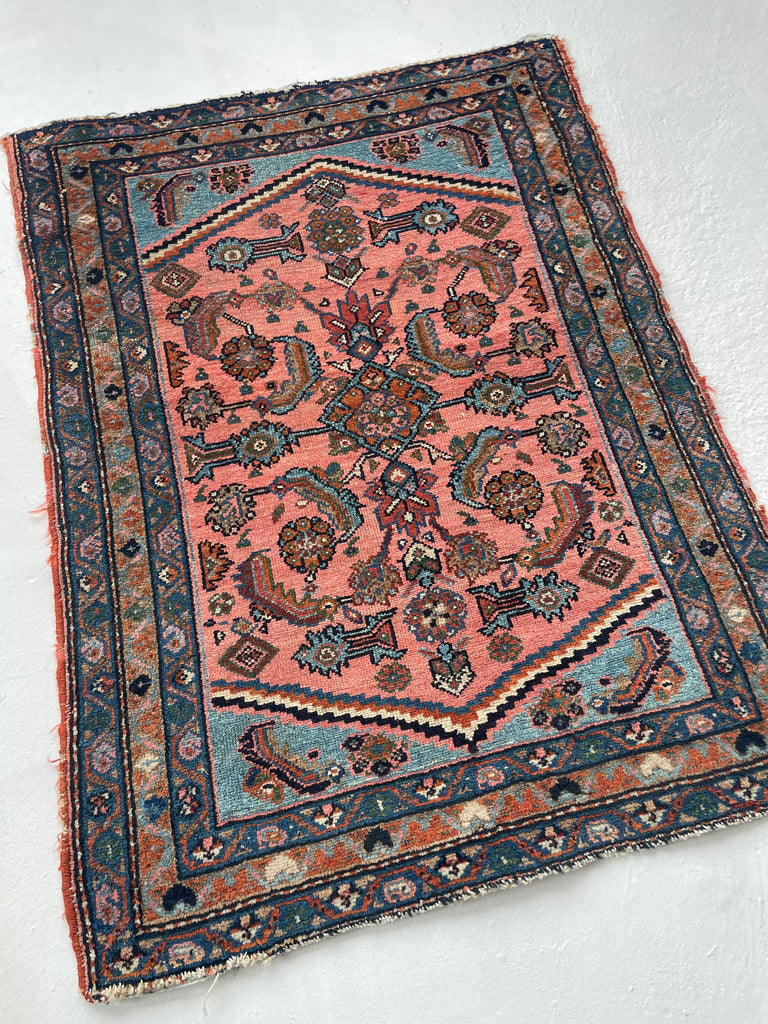RESERVED FOR CHERI*** STUNNING Antique Hamadan Rug | Coral-Pink & Sky Blue Water Garden | 2.7 x 3.4