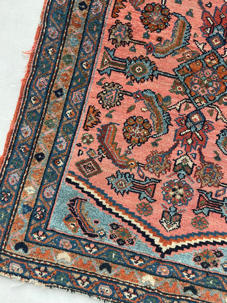 RESERVED FOR CHERI*** STUNNING Antique Hamadan Rug | Coral-Pink & Sky Blue Water Garden | 2.7 x 3.4