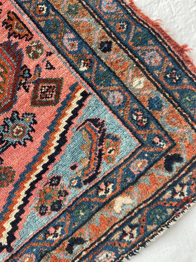 RESERVED FOR CHERI*** STUNNING Antique Hamadan Rug | Coral-Pink & Sky Blue Water Garden | 2.7 x 3.4