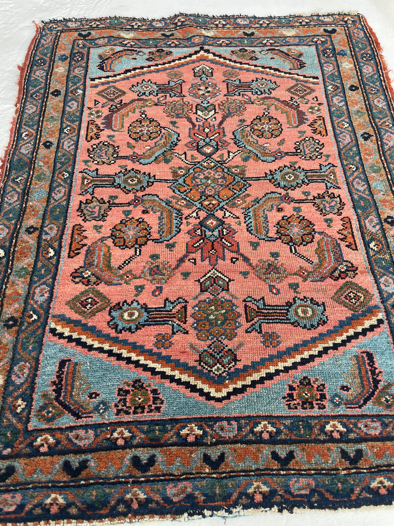 RESERVED FOR CHERI*** STUNNING Antique Hamadan Rug | Coral-Pink & Sky Blue Water Garden | 2.7 x 3.4