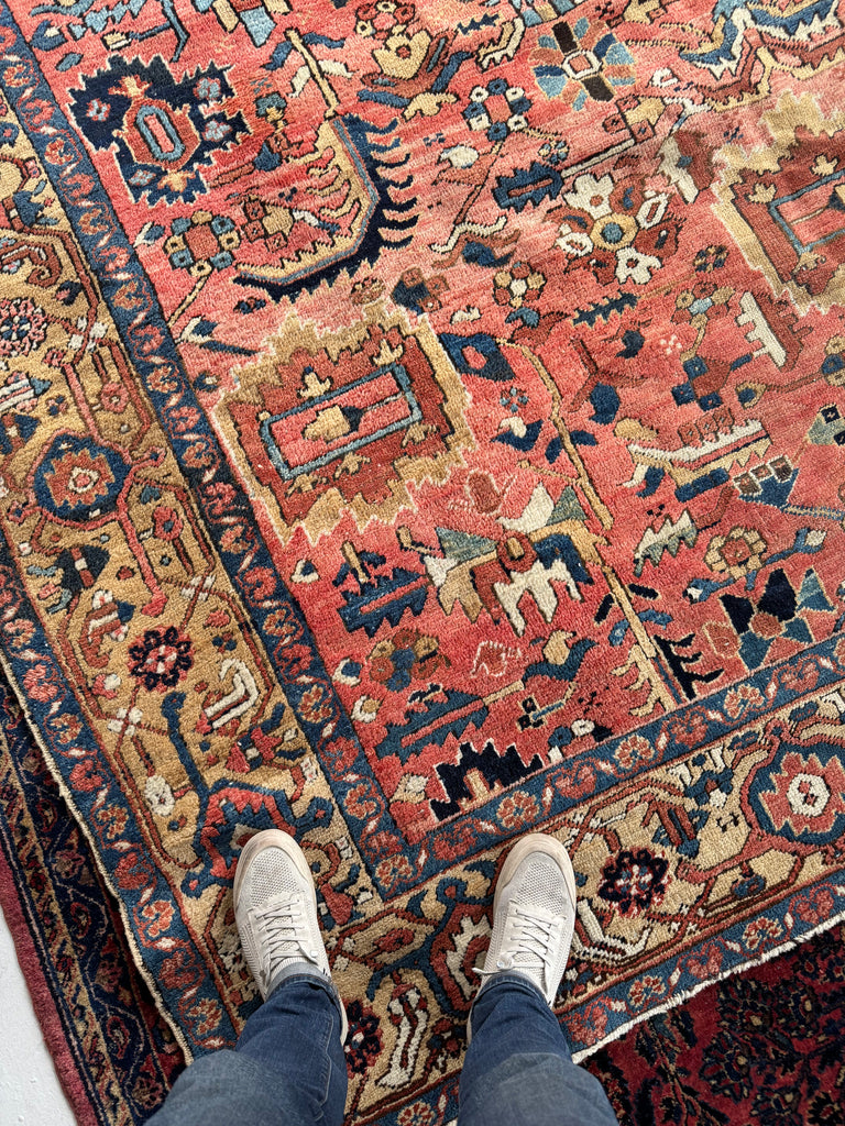 WORLD CLASS Mint Condition Antique Heriz Village Carpet | Rare Camel Border with Coral Ground in Naive Harshang Design with Sickle Leaf Motif | 9.4 x 11.4