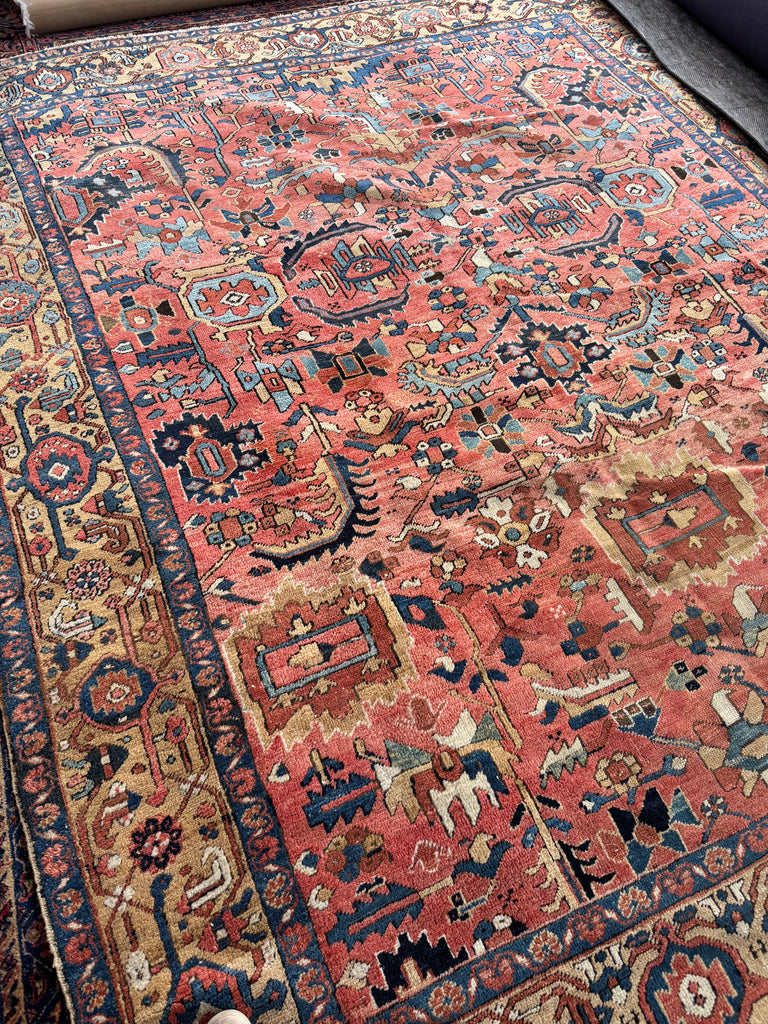 WORLD CLASS Mint Condition Antique Heriz Village Carpet | Rare Camel Border with Coral Ground in Naive Harshang Design with Sickle Leaf Motif | 9.4 x 11.4