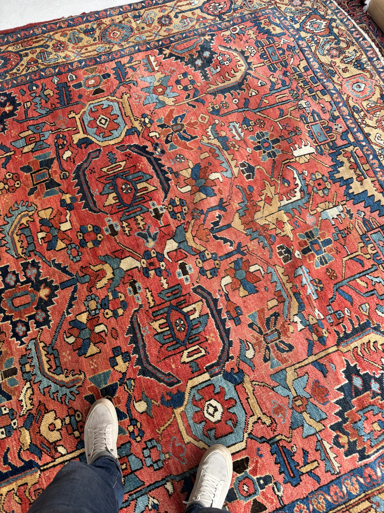 WORLD CLASS Mint Condition Antique Heriz Village Carpet | Rare Camel Border with Coral Ground in Naive Harshang Design with Sickle Leaf Motif | 9.4 x 11.4