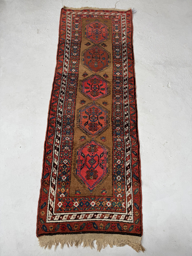 RAW Nomadic Antique Camel Hair Runnr with Coral Pinks, Watermelon, Rust | 3.2 x 9.5