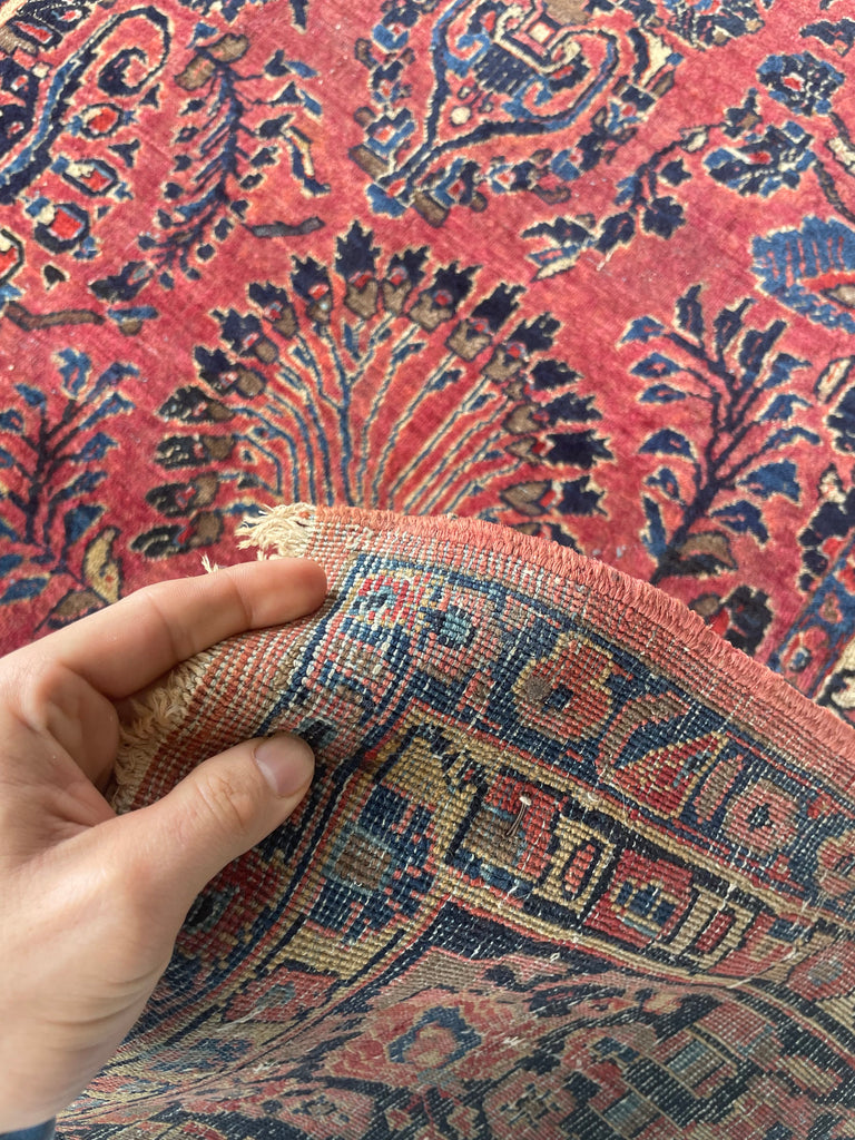 MAGNIFICENT Antique Blooming Sarouk in Lovely Coral, Berry, Blush | RARE SIZE: 6.2 x 9.1