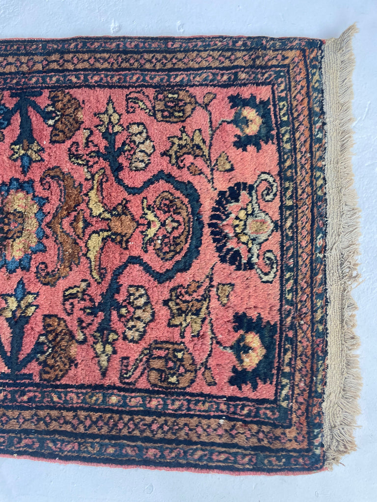 Fantastic Plush Lilihan Hamadan Sarouk with Rose, Salmon, Blush, Icy-Blues, Wheat and More | 2.8 x 4