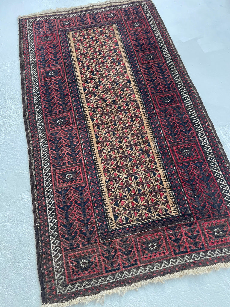 Long Vintage Tribal Afghan Baluchi | Deep Hues and Clean Aesthetic | 3 x 5.4