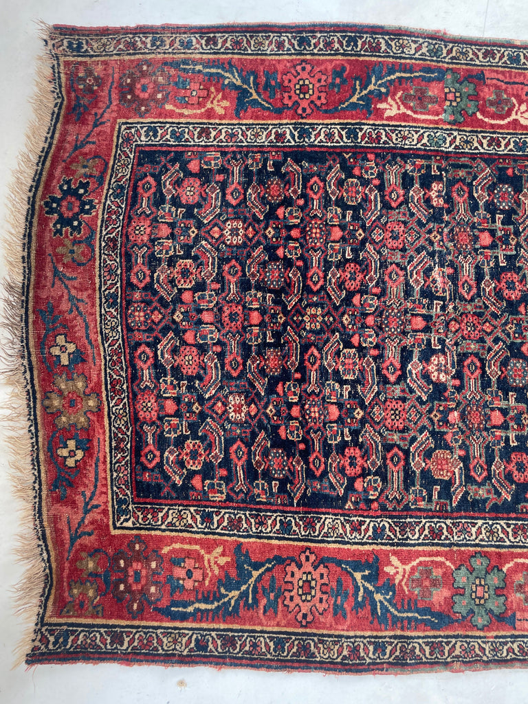 20 FEET LONG!! Gorgeous Antique Halvai Bidjar with Growing Vine Border | 4 x 20.3