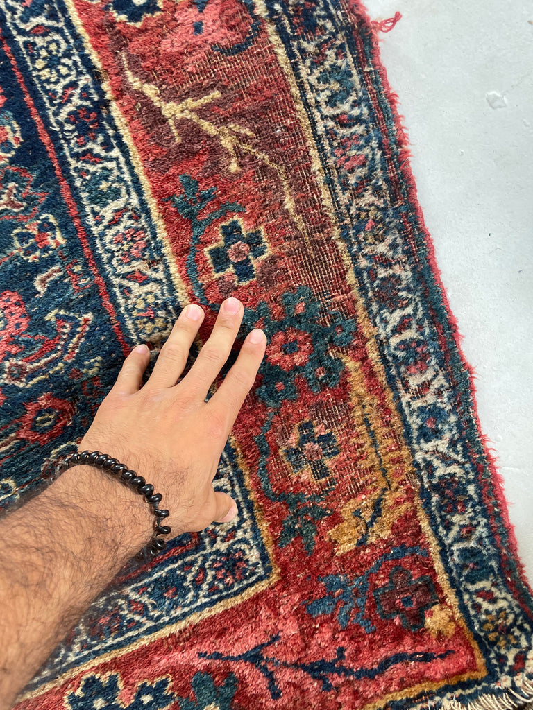 20 FEET LONG!! Gorgeous Antique Halvai Bidjar with Growing Vine Border | 4 x 20.3
