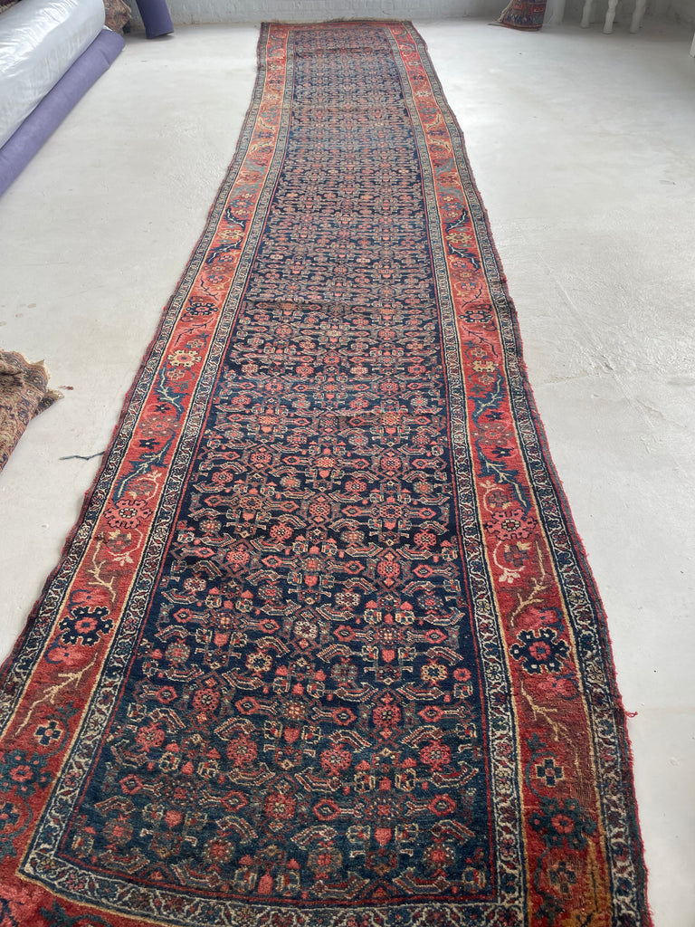 20 FEET LONG!! Gorgeous Antique Halvai Bidjar with Growing Vine Border | 4 x 20.3