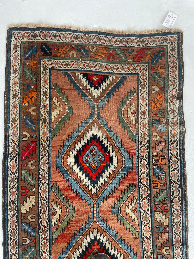 HYPNOTIC ANTIQUE SHAHSAVAN Runner | Rare Piece | Variations of Rust to Sunset with Divine Blues | ~ 3.6 x 10