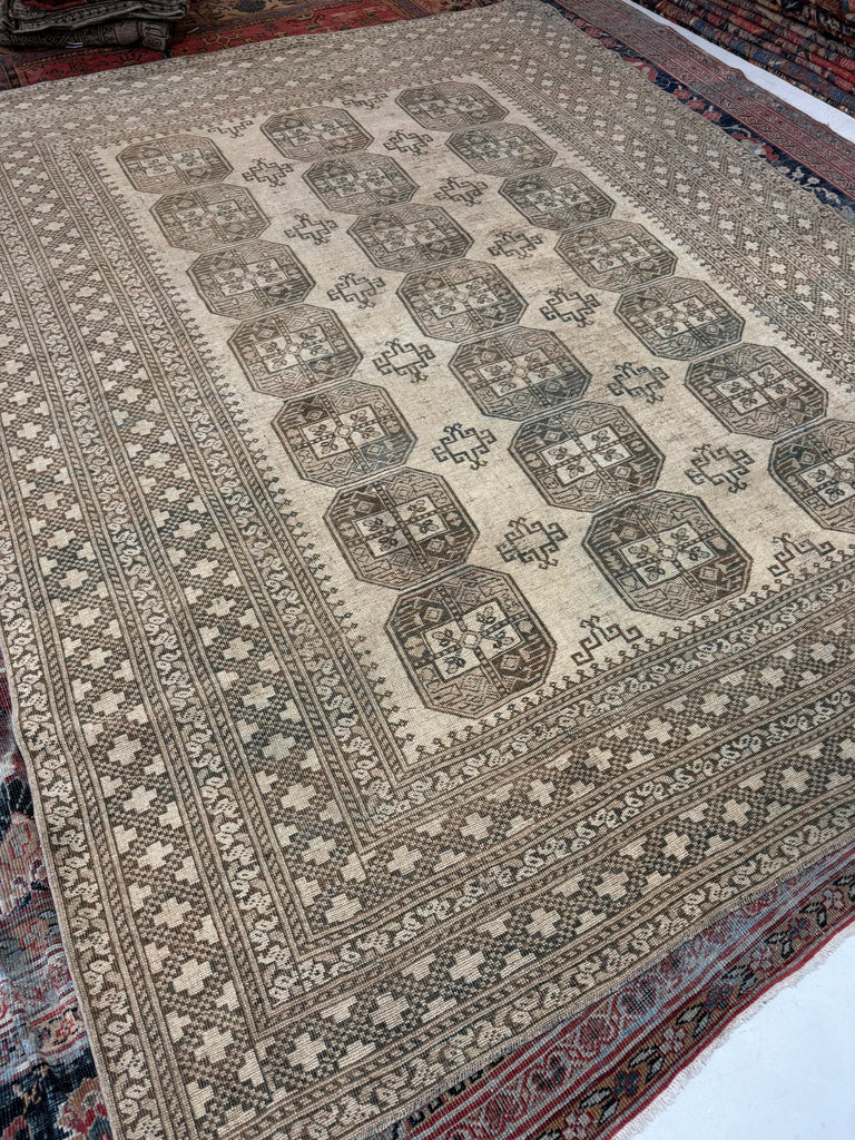 Coming Soon... AIRY Nomadic Elephant Track Tribal Carpet | Soft Moon Grey, Deep Espresso, Taupe | 8.2 x 10.2