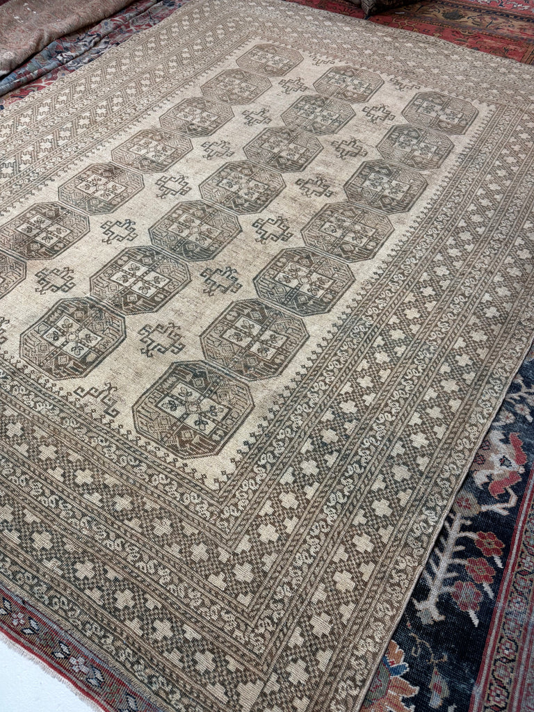 Coming Soon... AIRY Nomadic Elephant Track Tribal Carpet | Soft Moon Grey, Deep Espresso, Taupe | 8.2 x 10.2