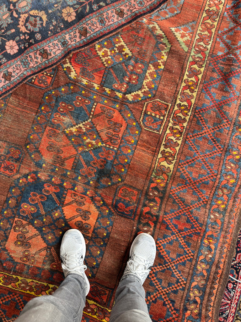 Coming Soon... OLD "Mother-Child" Nomadic Tribal Afghan Elephant Track Carpet | Saffron, Kiwi, Glacier Blue, Onyx | 9.3 x 12.3