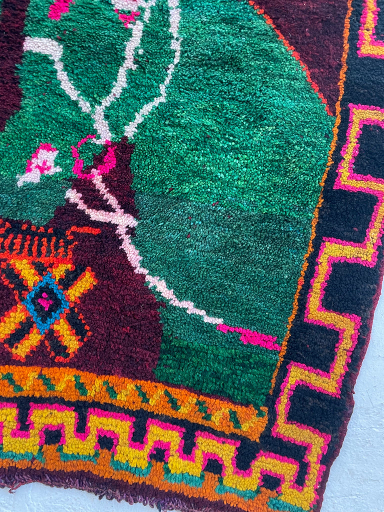 CHARMING Moroccan SISTER HORSE RUG | Vivid Enchanting Colors with Plush Wool Pile | 4 x 6