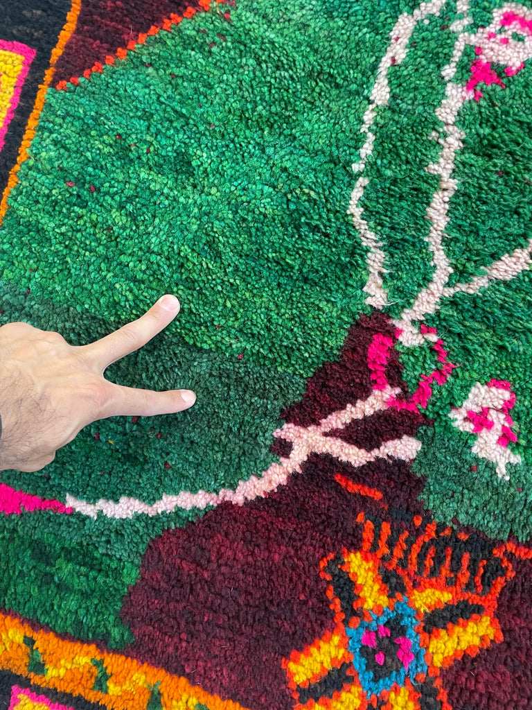 CHARMING Moroccan SISTER HORSE RUG | Vivid Enchanting Colors with Plush Wool Pile | 4 x 6