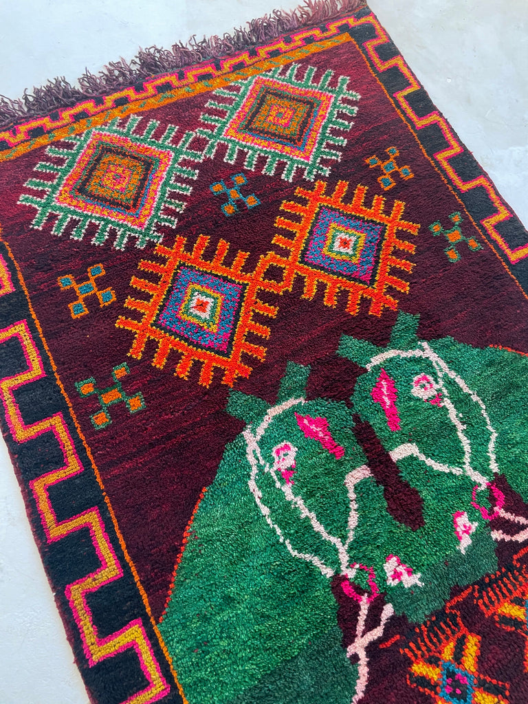 CHARMING Moroccan SISTER HORSE RUG | Vivid Enchanting Colors with Plush Wool Pile | 4 x 6
