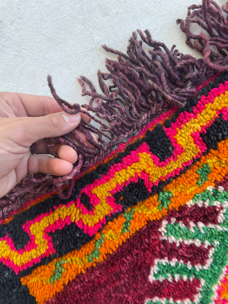 CHARMING Moroccan SISTER HORSE RUG | Vivid Enchanting Colors with Plush Wool Pile | 4 x 6