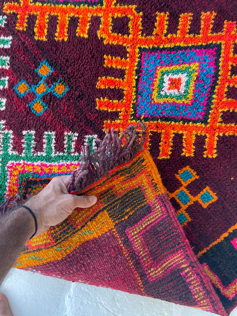 CHARMING Moroccan SISTER HORSE RUG | Vivid Enchanting Colors with Plush Wool Pile | 4 x 6