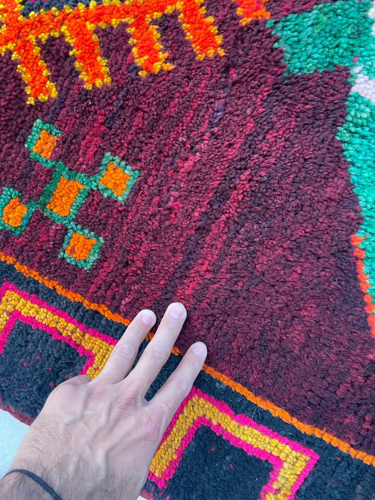 CHARMING Moroccan SISTER HORSE RUG | Vivid Enchanting Colors with Plush Wool Pile | 4 x 6