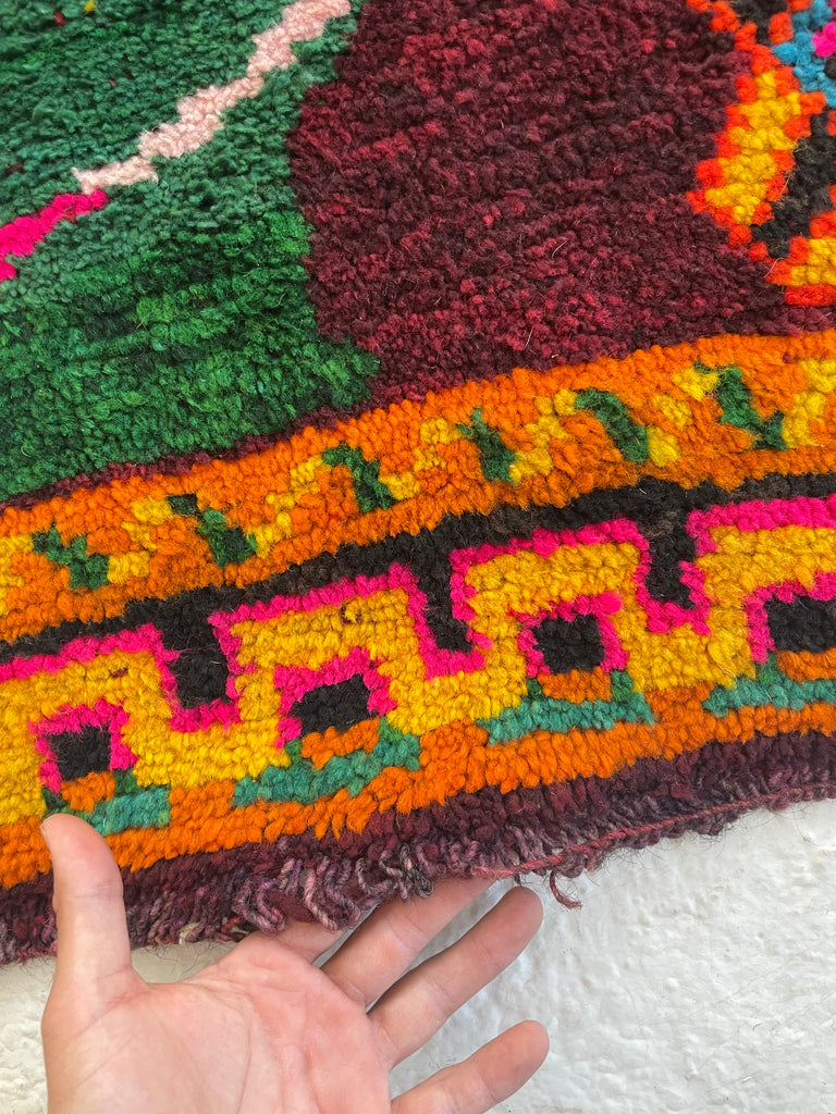 CHARMING Moroccan SISTER HORSE RUG | Vivid Enchanting Colors with Plush Wool Pile | 4 x 6